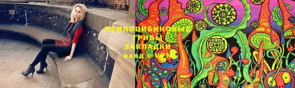 гашик Балабаново