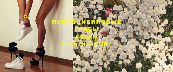 гашик Балабаново