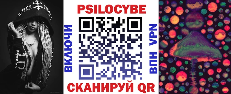 Галлюциногенные грибы Psilocybine cubensis  Усть-Джегута 